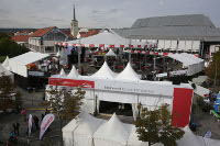 Arena_StaplerCup Arena_StaplerCup