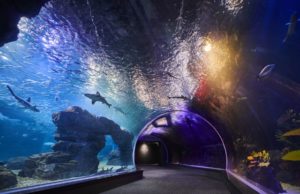 Südkorea mit TV-Werbespot für deutschen MICE-Markt