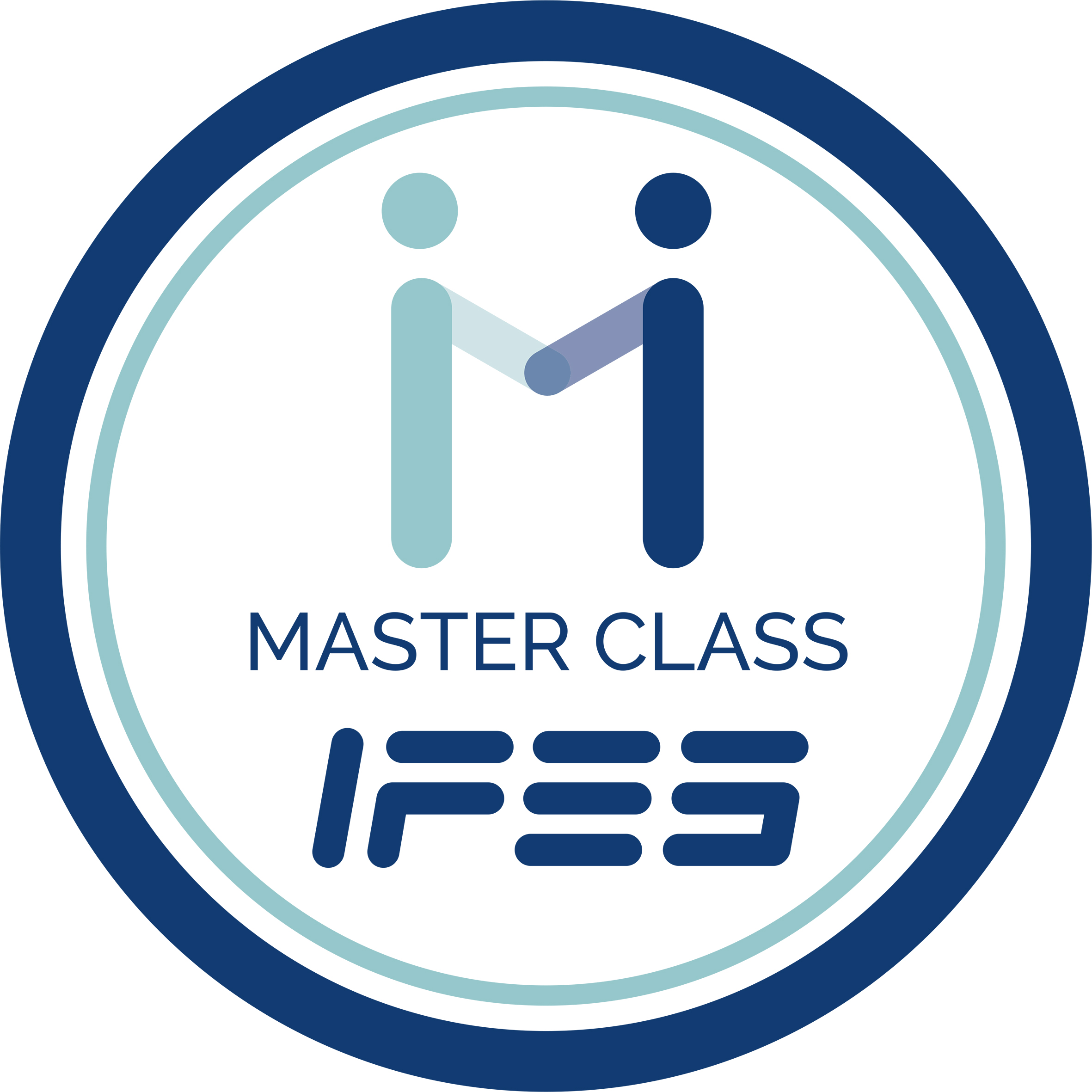 IFES MasterClass 2021