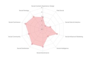 Social Maturity Score