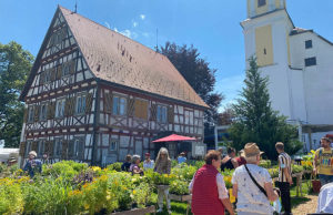 gusto!-Sommerfestival (Foto: Ravensburger Veranstaltungsgesellschaft)