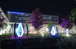 Light Anemones bei der Luminale 2020 (Foto: Malte Kebbel)