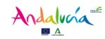 Marca_ANDALUCIA_&_EU_Fund_eng_2020
