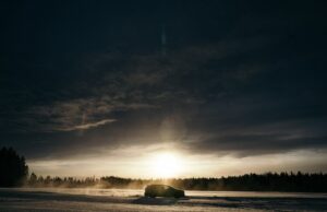 Pure Perfection meldet starkes 1. Quartal 2023