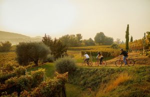 Bike und Wine Tour im Tessin (Foto: Ticino Turismo/Giglio Pasqua)
