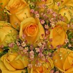Online Blumen bestellen