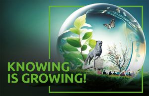 Neue Kampagne „Knowing is growing“ (Foto: Braunschweig Stadtmarketing GmbH/pvproductions – Freepik.com)