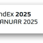 BrandEx Logo 2025