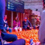 wtf2025 im Bällebad