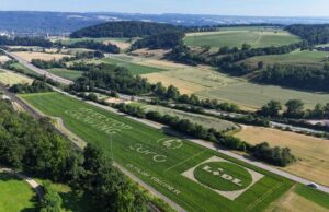 Lidl Schweiz zieht Bilanz zur UEFA Women’s Euro Das Lidl Frische Feld (Foto: Lidl Schweiz)