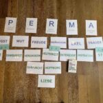 micelab-bodensee-explorer-2025-perma