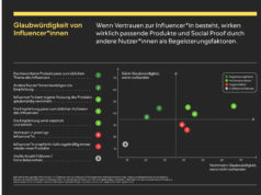 pilot Studie: Content Creator und Konsumverhalten
