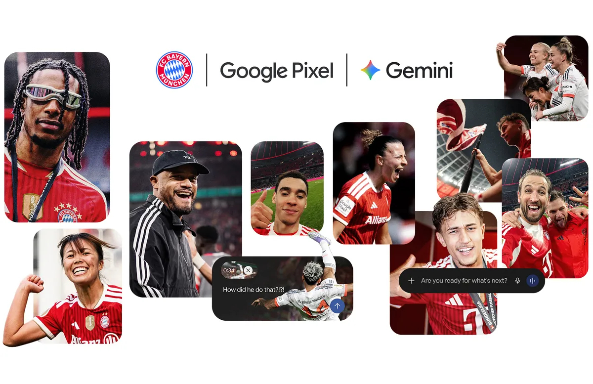 (Grafik: Google) (Grafik: Google)