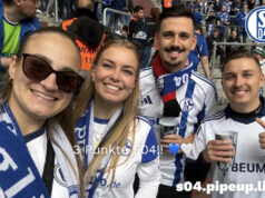 Pipeup bringt Schalke-Fans auf den Veltins-Arena Videocube Pipeup bringt Schalke-Fans auf den Veltins-Arena Videocube (Foto: Pipeup)